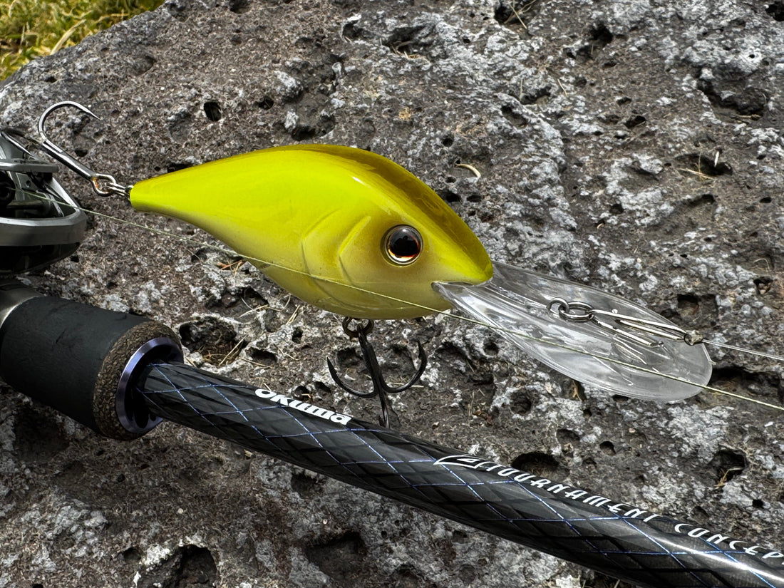 Deep Diving Crankbait for Spotted Bay Bass 
