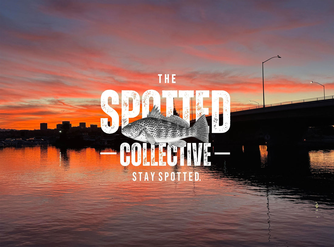 The Spotted Collective Logo over a harbor sunrise
