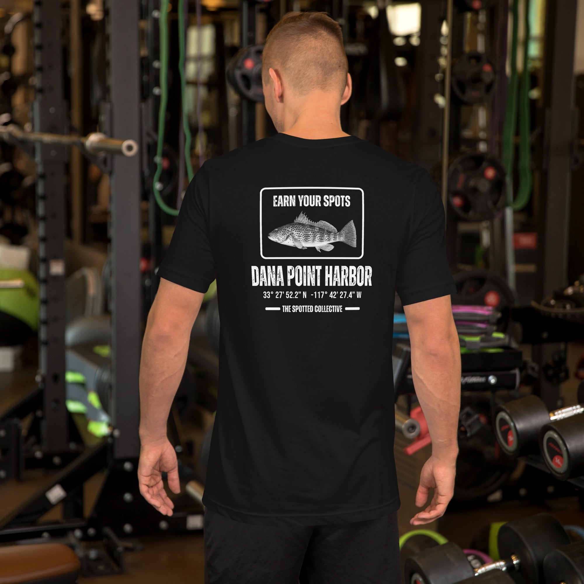 The Harbor Grind Collection