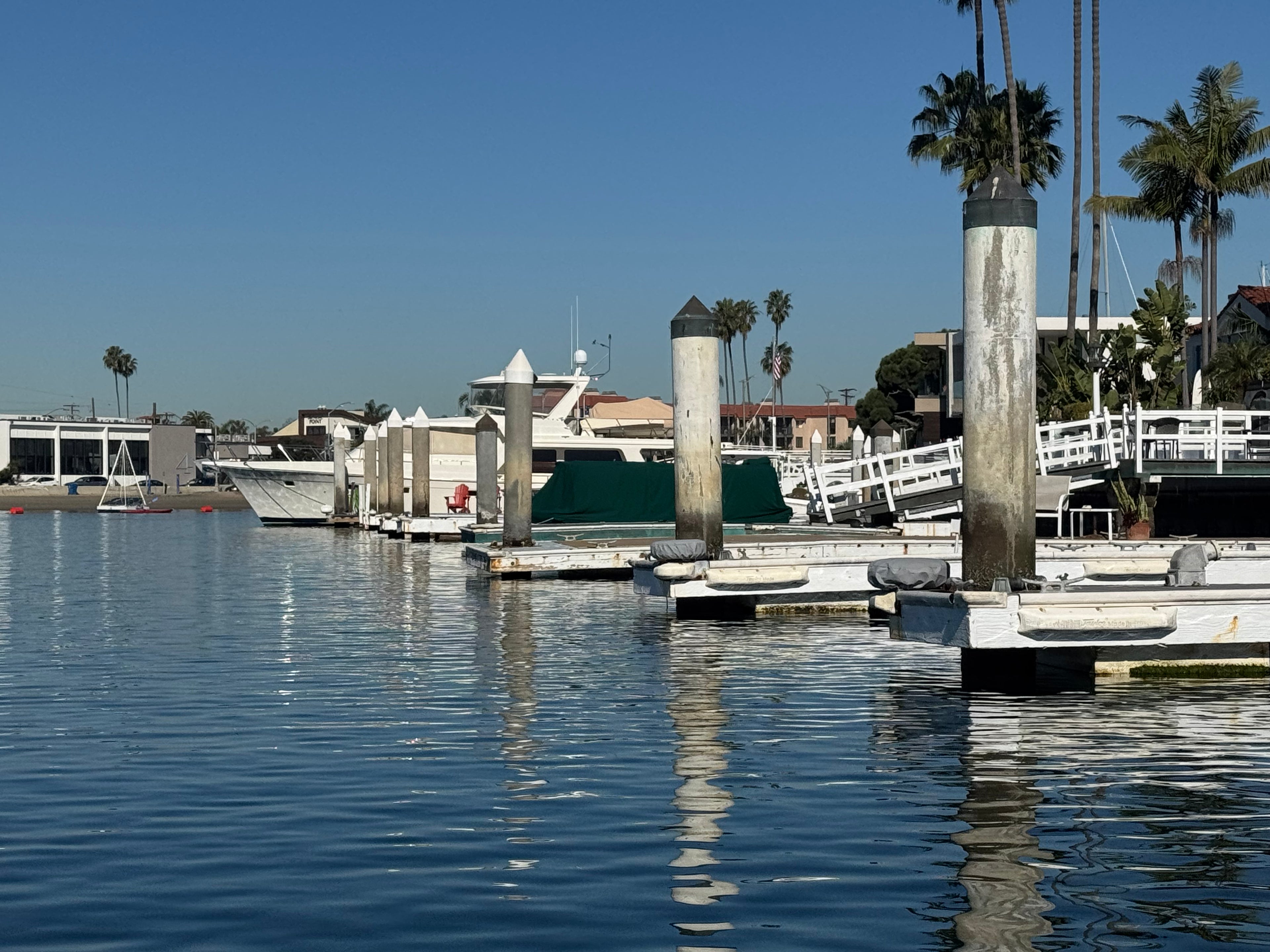 Marina with boats and palm trees on a clear day