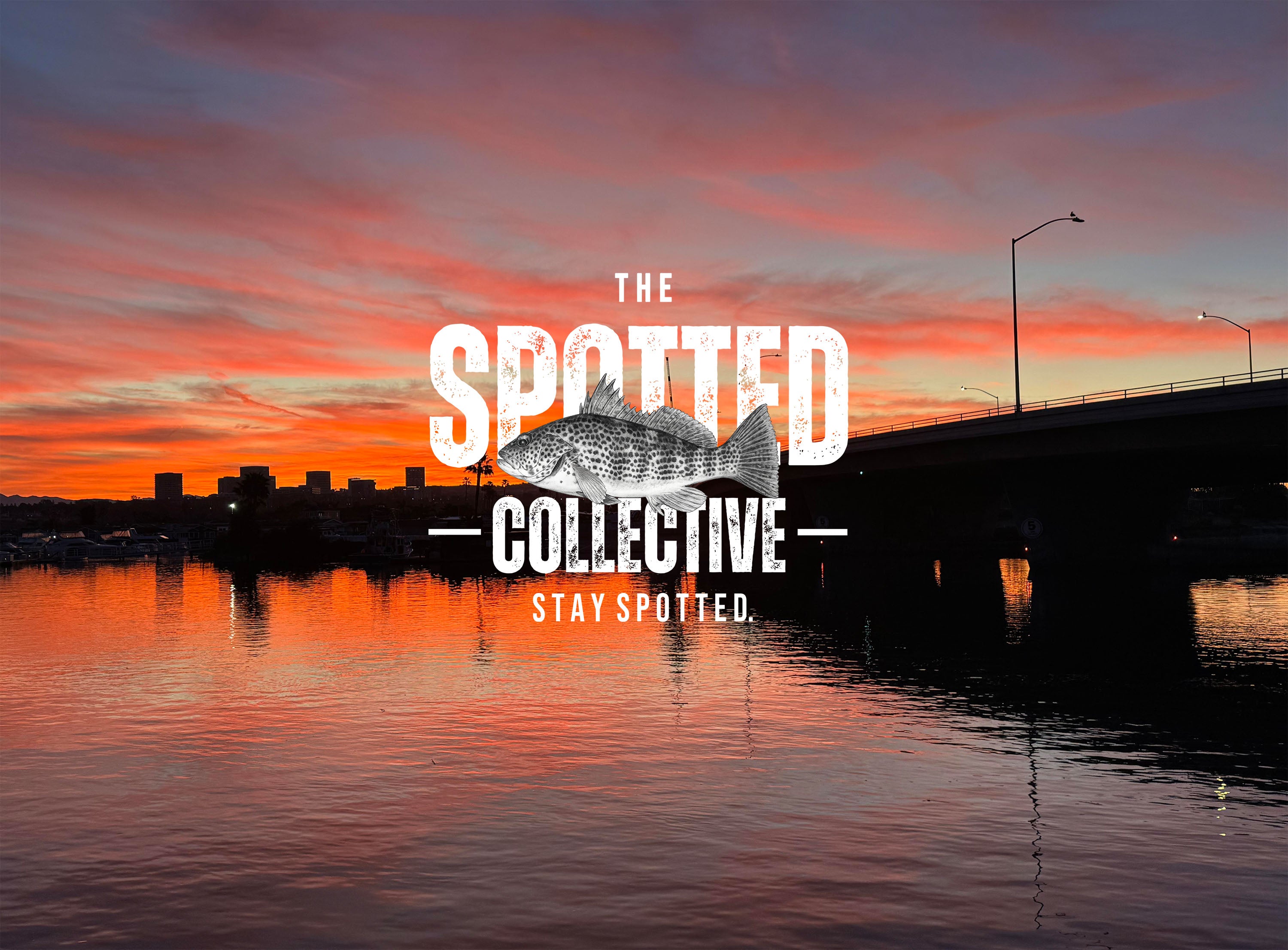 Sunset over a bridge with 'The Spotted Collective' logo overlay